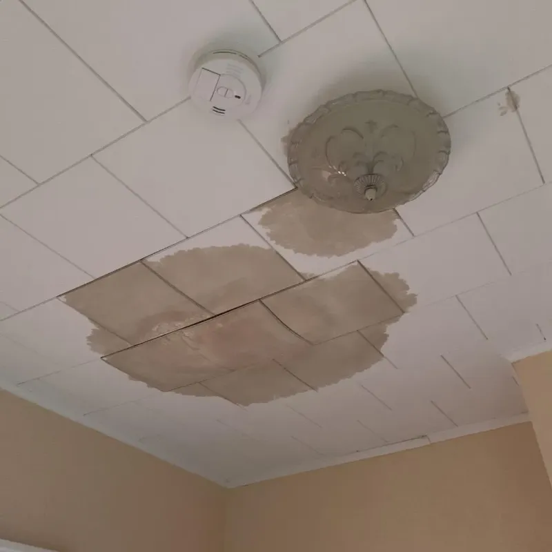Ceiling Water Damage Repair in Cobden, IL