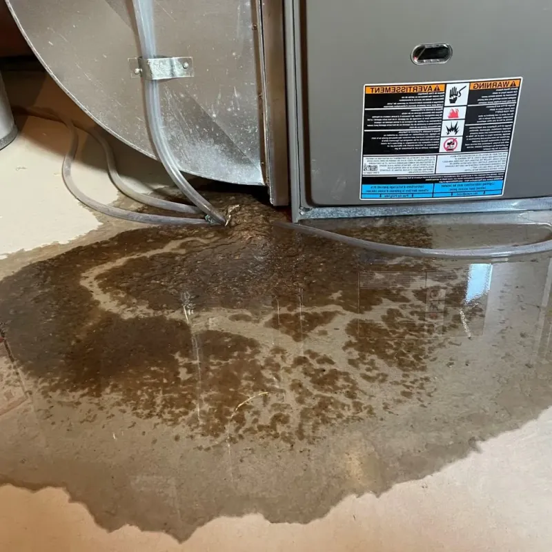 Pipe Burst and Leak Restoration in Cobden, IL