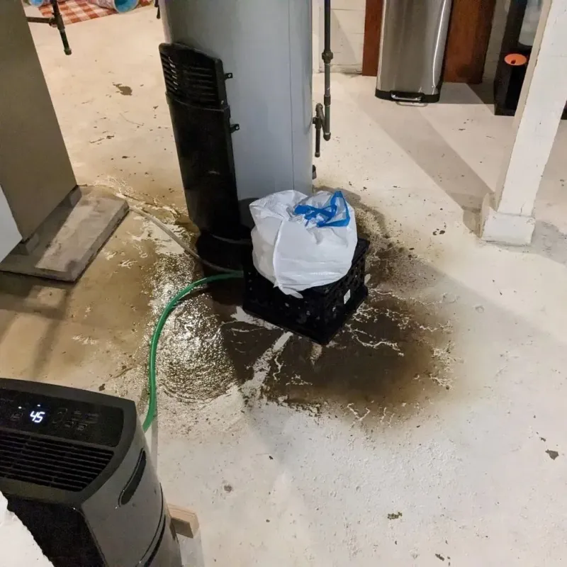 Sewage Backup Cleanup Service in Cobden, IL